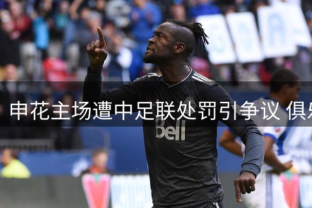 申花主场遭中足联处罚引争议 俱乐部呼吁球迷理性遭质疑